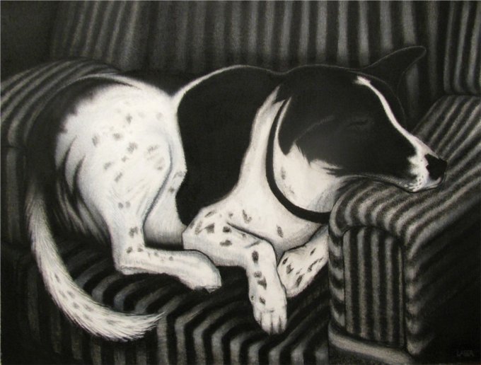 a good dog charcoal on paper